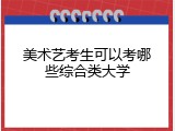 美术艺考生可以考哪些综合类大学