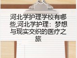 河北学护理学校有哪些,河北学护理：梦想与现实交织的医疗之旅
