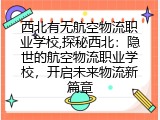 西北有无航空物流职业学校,探秘西北：隐世的航空物流职业学校，开启未来物流新篇章