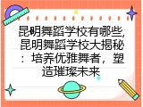 昆明舞蹈学校有哪些,昆明舞蹈学校大揭秘：培养优雅舞者，塑造璀璨未来