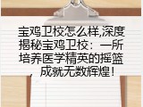 宝鸡卫校怎么样,深度揭秘宝鸡卫校：一所培养医学精英的摇篮，成就无数辉煌！