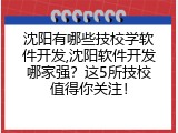沈阳有哪些技校学软件开发,沈阳软件开发哪家强？这5所技校值得你关注！