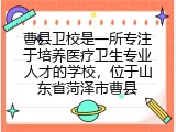 曹县卫校是一所专注于培养医疗卫生专业人才的学校，位于山东省菏泽市曹县