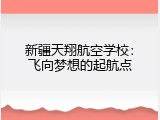 新疆天翔航空学校：飞向梦想的起航点