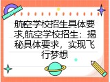 航空学校招生具体要求,航空学校招生：揭秘具体要求，实现飞行梦想