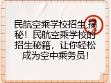 民航空乘学校招生,揭秘！民航空乘学校的招生秘籍，让你轻松成为空中乘务员！