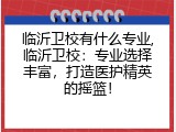 临沂卫校有什么专业,临沂卫校：专业选择丰富，打造医护精英的摇篮！