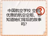中国航空学校 空姐,优雅的航空空姐，你知道她们背后的故事吗？