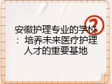 安徽护理专业的学校：培养未来医疗护理人才的重要基地