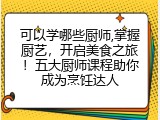 可以学哪些厨师,掌握厨艺，开启美食之旅！五大厨师课程助你成为烹饪达人