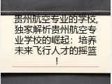 贵州航空专业的学校,独家解析贵州航空专业学校的崛起：培养未来飞行人才的摇篮！