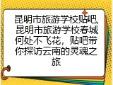 昆明市旅游学校贴吧,昆明市旅游学校春城何处不飞花，贴吧带你探访云南的灵魂之旅