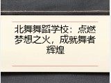 北舞舞蹈学校：点燃梦想之火，成就舞者辉煌