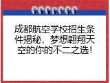 成都航空学校招生条件揭秘，梦想翱翔天空的你的不二之选！