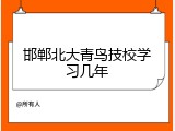 邯郸北大青鸟技校学习几年