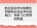 航空运动学校有哪些,探秘航空运动学校的魅力：培养飞行梦想的摇篮