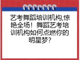 艺考舞蹈培训机构,惊艳全场！舞蹈艺考培训机构如何点燃你的明星梦？