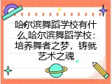 哈尔滨舞蹈学校有什么,哈尔滨舞蹈学校：培养舞者之梦，铸就艺术之魂