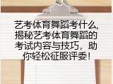 艺考体育舞蹈考什么,揭秘艺考体育舞蹈的考试内容与技巧，助你轻松征服评委！