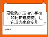 宠物狗护理培训学校：如何护理狗狗，让它成为家庭宠儿