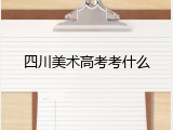 四川美术高考考什么