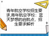 青年航空学校招生要求,青年航空学校：蓝天梦想的启航点，招生要求解析
