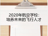 2020年航空学校：培养未来的飞行人才