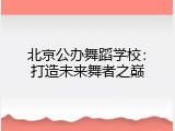 北京公办舞蹈学校：打造未来舞者之巅