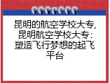 昆明的航空学校大专,昆明航空学校大专：塑造飞行梦想的起飞平台