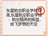 东星航空职业学校标准,东星航空职业学校：航空精英的摇篮，放飞梦想的天空