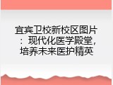 宜宾卫校新校区图片：现代化医学殿堂，培养未来医护精英