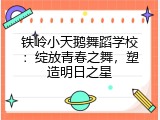 铁岭小天鹅舞蹈学校：绽放青春之舞，塑造明日之星