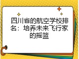 四川省的航空学校排名：培养未来飞行家的摇篮