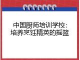 中国厨师培训学校：培养烹饪精英的摇篮