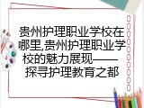 贵州护理职业学校在哪里,贵州护理职业学校的魅力展现&mdash;&mdash; 探寻护理教育之都