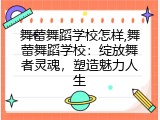 舞蕾舞蹈学校怎样,舞蕾舞蹈学校：绽放舞者灵魂，塑造魅力人生