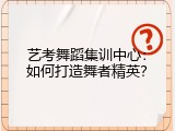 艺考舞蹈集训中心：如何打造舞者精英？