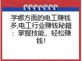 学哪方面的电工赚钱多,电工行业赚钱秘籍：掌握技能，轻松赚钱！