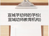 宣城学幼师的学校(宣城幼师教育机构)