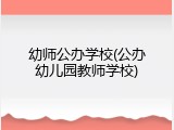幼师公办学校(公办幼儿园教师学校)