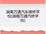 湖南万通汽车维修学校(湖南万通汽修学校)