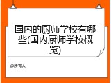 国内的厨师学校有哪些(国内厨师学校概览)