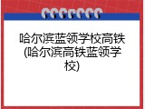 哈尔滨蓝领学校高铁(哈尔滨高铁蓝领学校)
