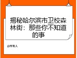 揭秘哈尔滨市卫校森林街：那些你不知道的事