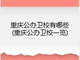 重庆公办卫校有哪些(重庆公办卫校一览)