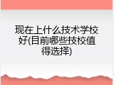 现在上什么技术学校好(目前哪些技校值得选择)