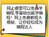 网上哪里可以免费学编程,零基础也能学编程！网上免费教程大揭秘，让你轻松成为编程达人