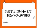 武汉凡谷职业技术学校(武汉凡谷职校)