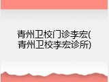 青州卫校门诊李宏(青州卫校李宏诊所)