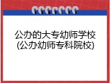 公办的大专幼师学校(公办幼师专科院校)